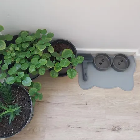 Grande En Appartamento Huesca