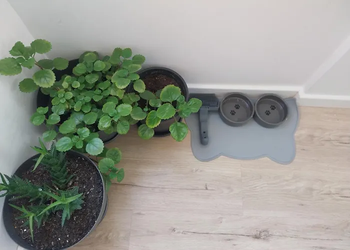 Grande En Lägenhet Huesca